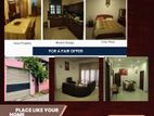 Only Short Term Rent House In Kottawa