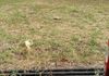 Only Vacant Land Suitable for any Business is Available Rent, Old rd - View 3