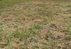 Only Vacant Land Suitable for any Business is Available Rent, Old rd - View 2