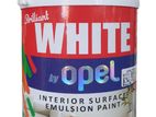 Opel Brilliant White Paint