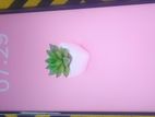 Oppo A79 (Used)