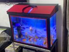 Fish Tank Full Set