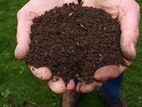Organic Compost