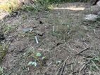 Land for Sale Batticaloa
