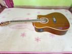 Diamond Semi Acoustics Guitar