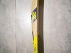 DSC leather Cricket Bat