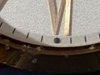 fossil watch
