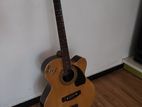 Givson Acoustic Box Guitar