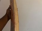 SG Cricket Bat