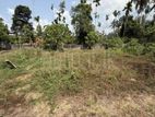 Land for Sale - Batticoloa