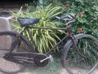 Vintage Raleigh 28" Roadster Bicycle (Classic Rod Brakes)