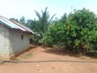 ஒரு ஏக்கர் காணி விற்பனைக்கு மட்டக்களப்பு