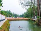 ORUTHOTA LAND FOR SALE