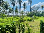 (OS176) 2 Acres of Prime Land in Udupila