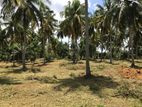 (OS179) Land for Sale in Polgahawela