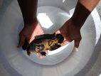Oscar Fish
