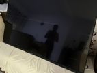 Oscar TV