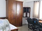 Ovel wive apartment for rent colombo 8