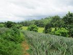 Overlooking Mountain Views Land for Sale in Thiththapaththara, Hanwella.