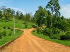 Land for Sale Welimada