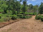 Bare Land for Sale Welimada