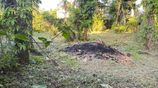 Land for Sale in Ekala