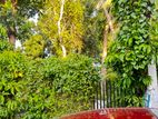 Land for Sale in Ekala