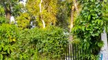 Land for Sale in Ekala