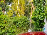 Land for Sale in Ekala