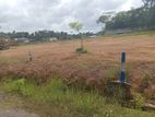 Own Your Dream Land at Kindelpitiya Today!