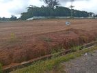 Own Your Dream Land at Kindelpitiya Today!