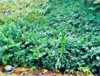 P 435 Lands for sale Balangoda,wewalwatta Rd