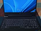 HP Victus 15 (13th Gen i5 + RTX 3050 6GB)
