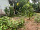 ( P109) Bare Land for Sale At Biyagama