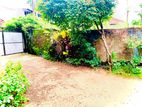 (P184) 4.44 Land for Sale Nugegoda, Wijerama, Pathirage Road