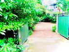 (P184) 4.44 Land for Sale Nugegoda, Wijerama, Pathirage Road