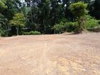 (P191 ) Bare Land for Sale at Kalutara