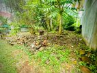 P206) 6.0 perch Land for Sale in Borelesgamuwa,Abillawattha