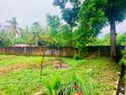 (P206) 8.1 perch Land for Sale in Borelesgamuwa,Pasal Mawatha