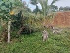 (P209) 10 Perch Bare Land for Sale in Kalutara