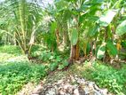 (P215 ) 10 Perch Bare Land for Sale in Kalutara