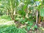 (P215 ) 10 Perch Bare Land for Sale in Kalutara