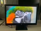 HP P223 Monitor