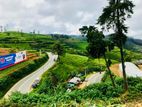 (P251) 84.85 Perch Bare Land for Sale in –nuwara Eliya Main Road