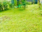 (P306) 11.3 perch Bare Land For sale in Piliyandala,Dampe