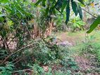 (P353) 18.2 land For sale Koswatta,Samanala Rd