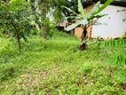 P363) 9.9. Perch Land for Sale in Borelesgamuwa ,bokundara