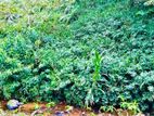 P435 Lands for Sale Balangoda,wewalwatta Rd