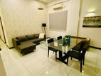 P445 Fully Furnished Apartment for Rent Colombo 05