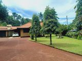 P73 Super Single House for Sale in Negombo Katana